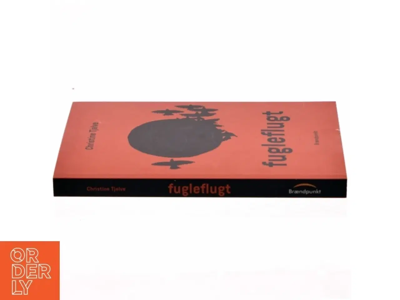 Billede 2 - Fugleflugt : roman af Christine Tjalve (Bog)