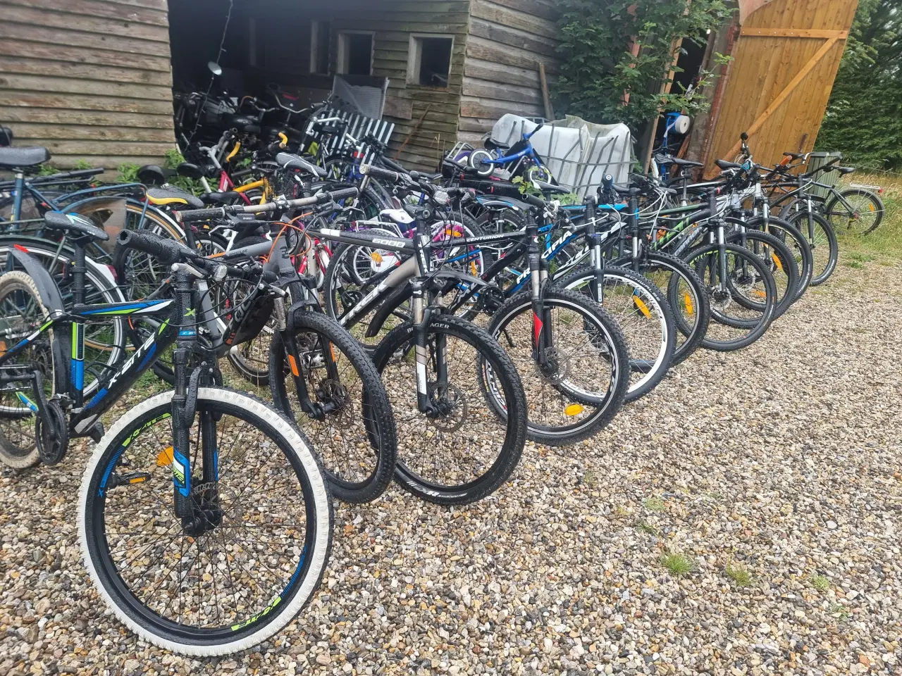 Billede 7 - Forskellige cykler 