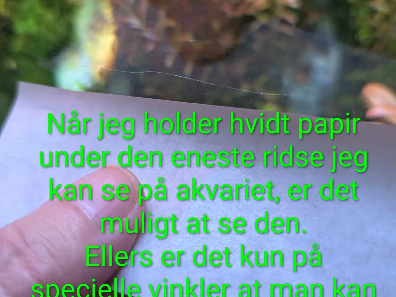 Billede 18 - Juwel akvarie 125L