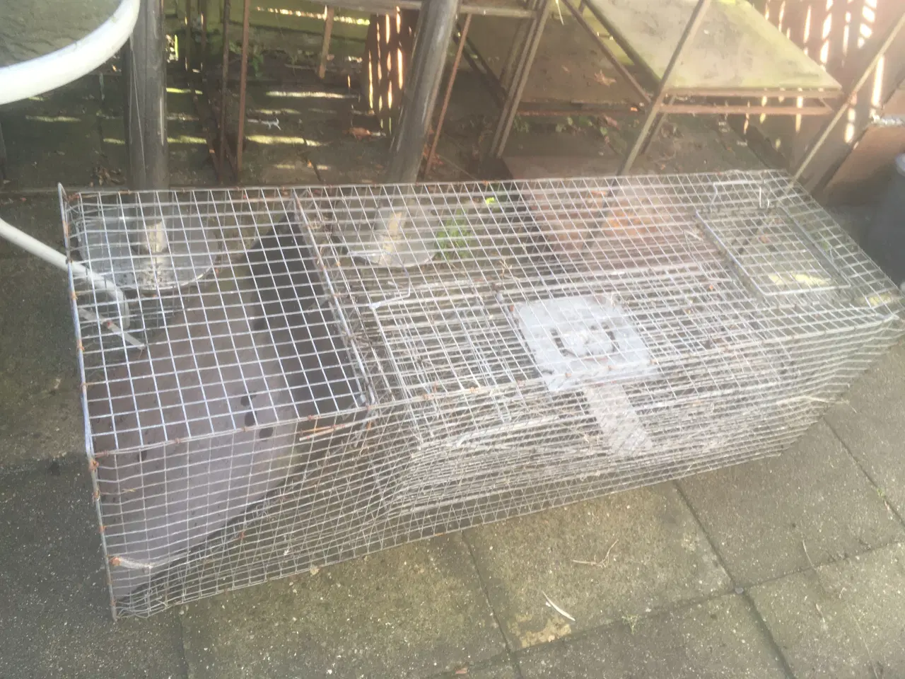 Billede 3 - Ræve/+mår fælder