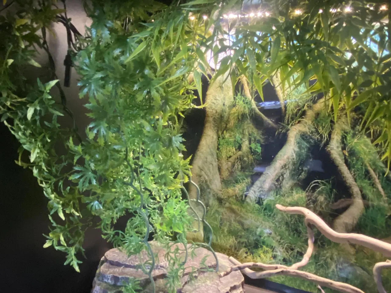 Billede 6 - Plug & play terrarie