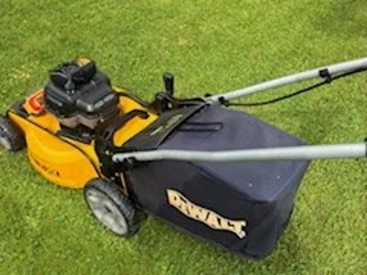 Billede 1 - Dewalt batteri plæneklipper