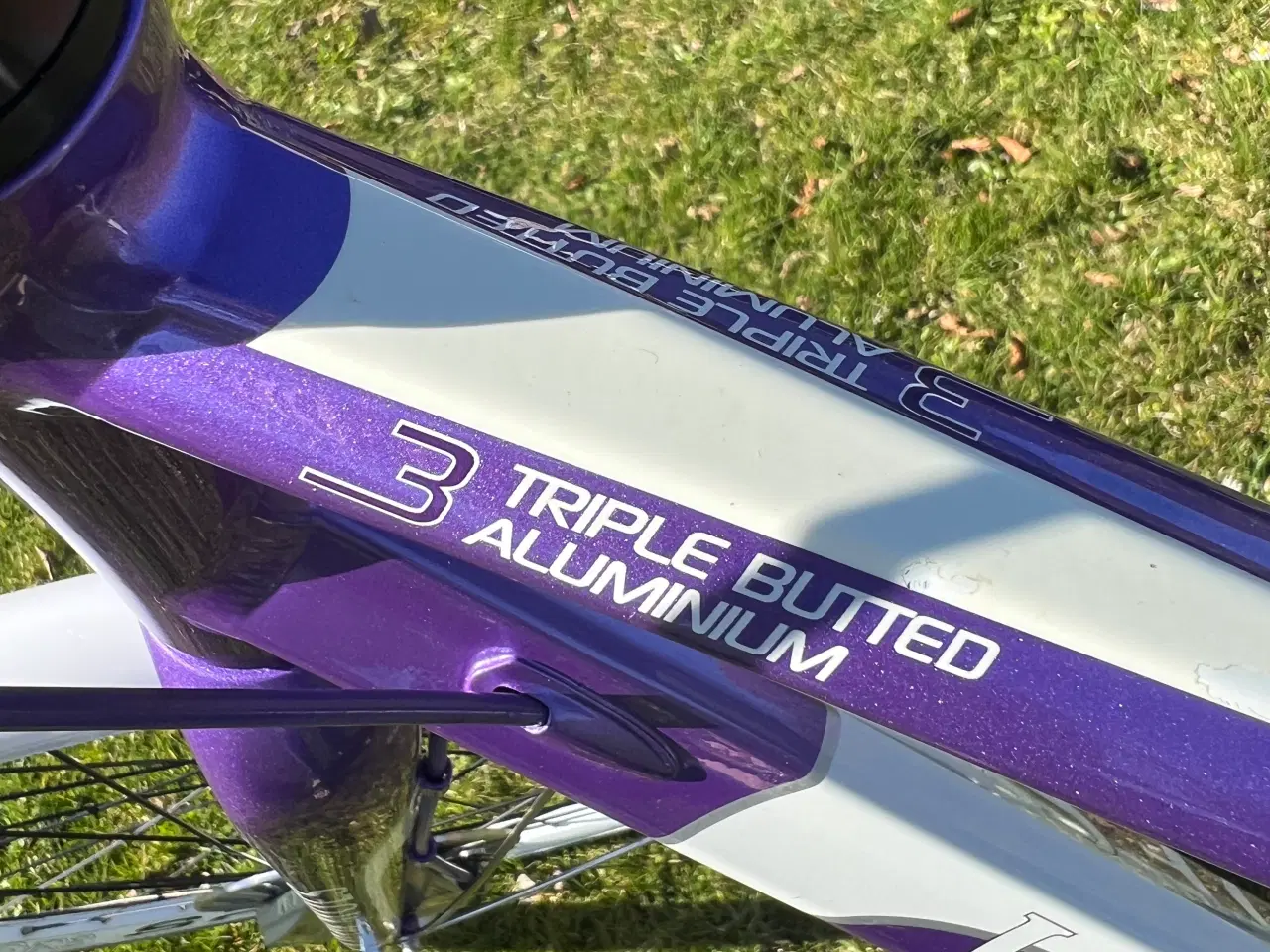 Billede 5 - Kildemoes locig sport