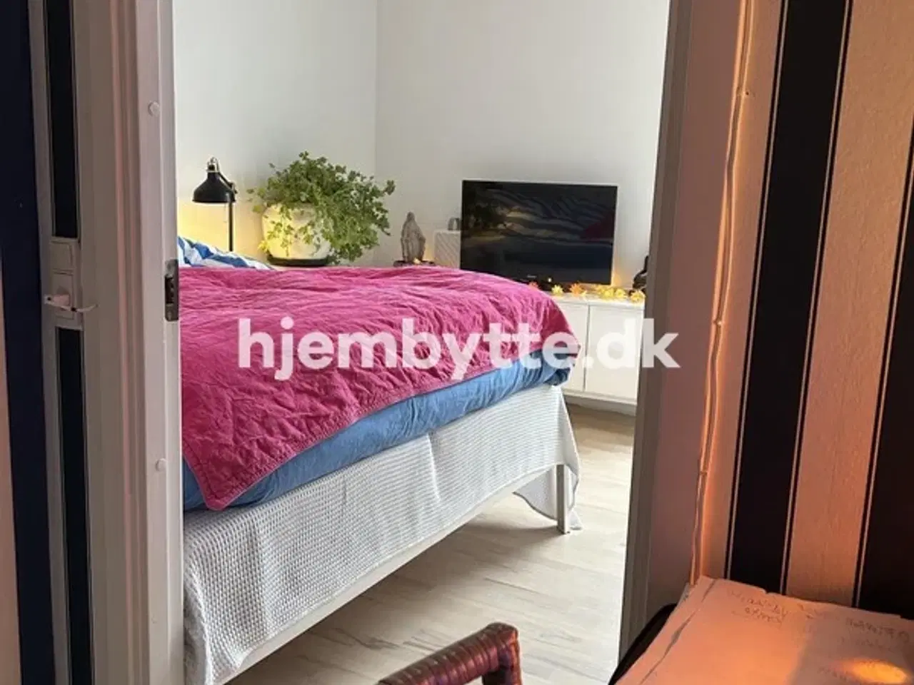 Billede 6 - Hjembytte - Hyldemosen