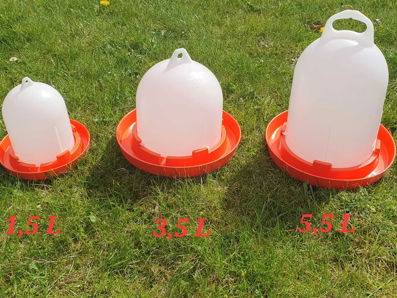 Billede 1 - Udstyr til høns mm. 