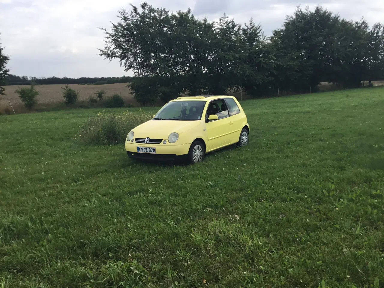 Billede 6 - Vw lupo