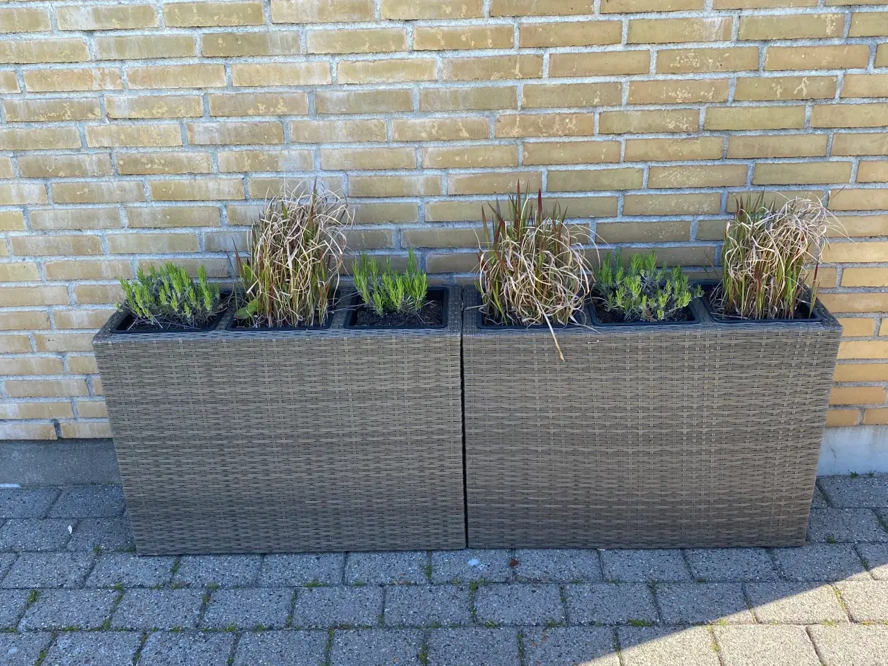 Billede 1 - Stokkand plante kasser
