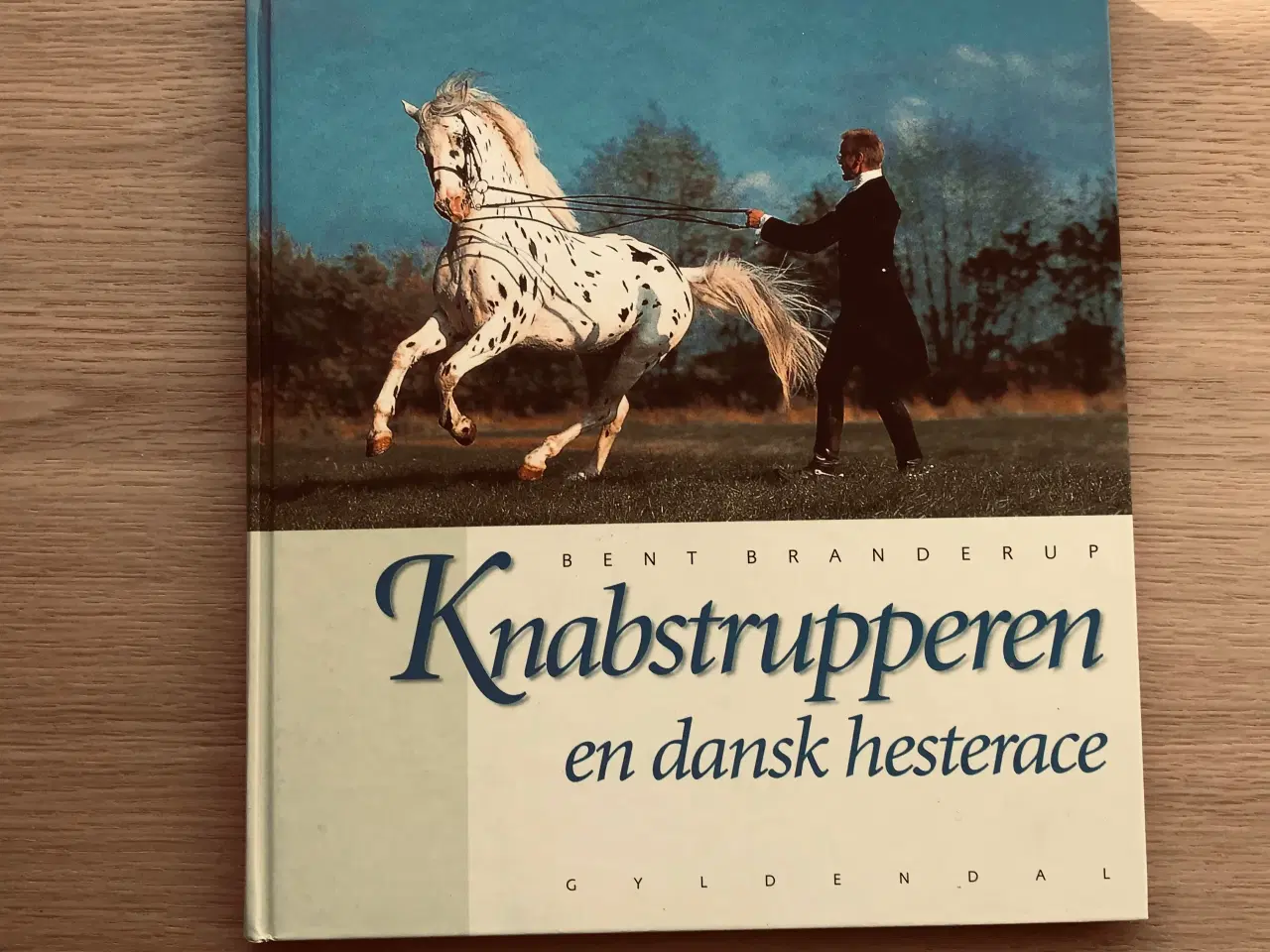 Billede 1 - Knabstrupperen - en dansk hesterace