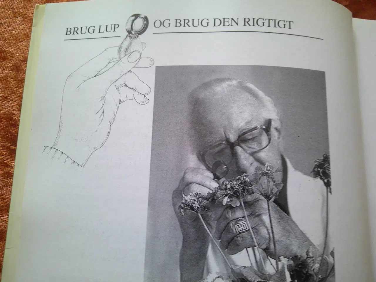 Billede 2 - Den grønne bog, Frank Hejndorf