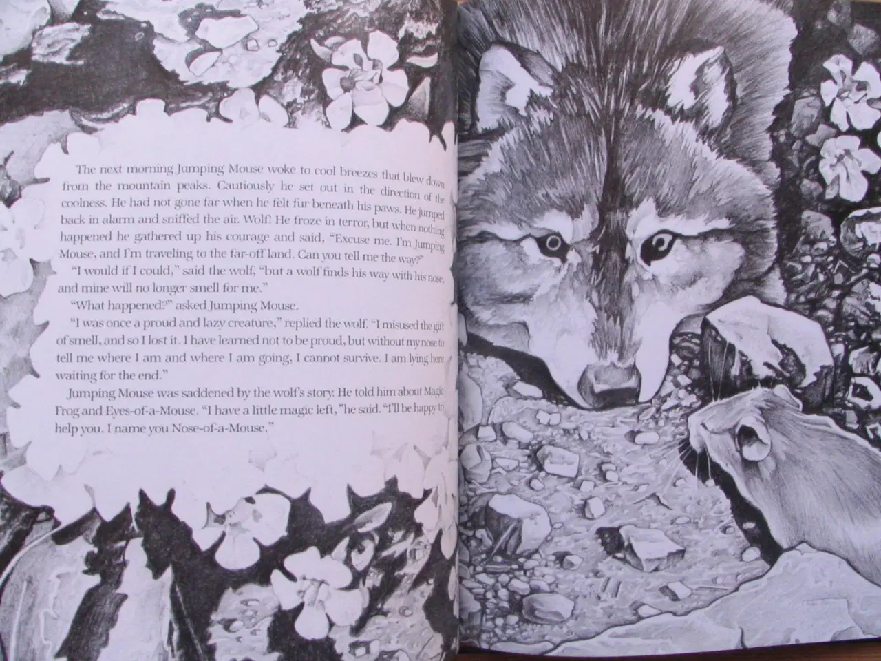 Billede 5 - The story of Jumping Mouse