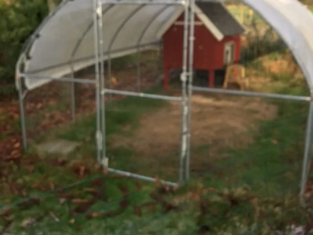 Billede 6 - Hønsegård og hønsehus som nyt