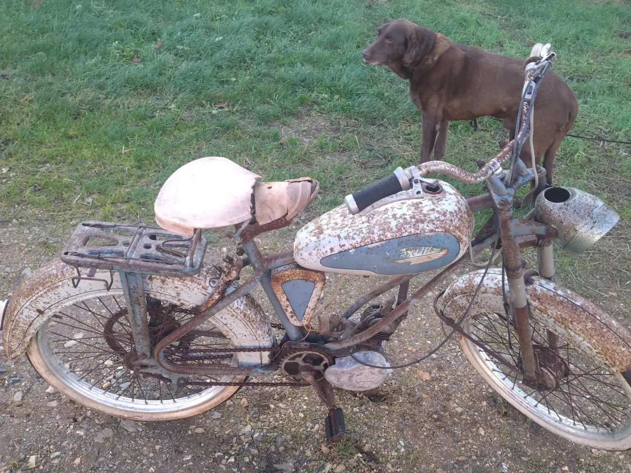 Billede 3 - Sco knallert