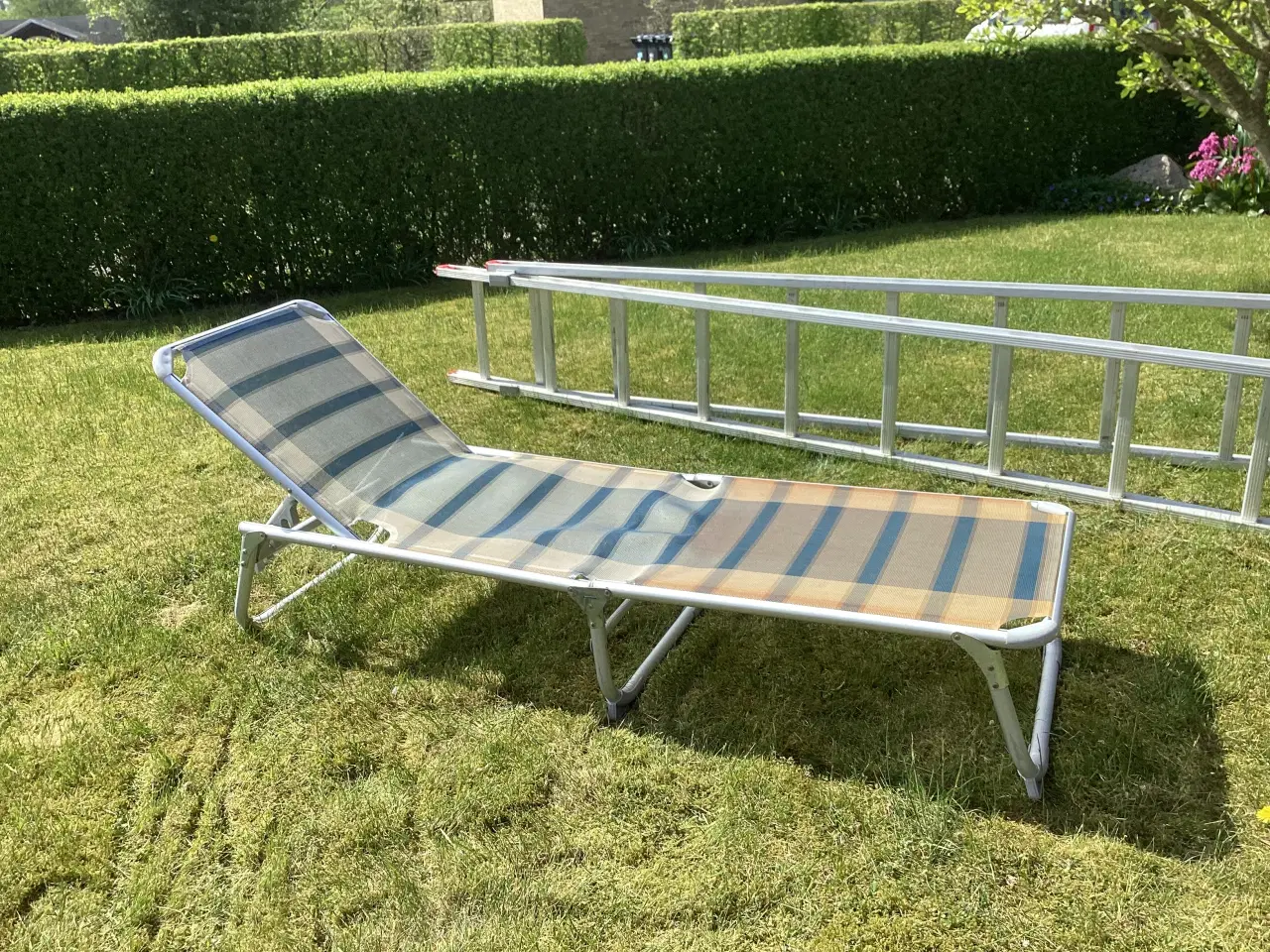Billede 1 - Solseng