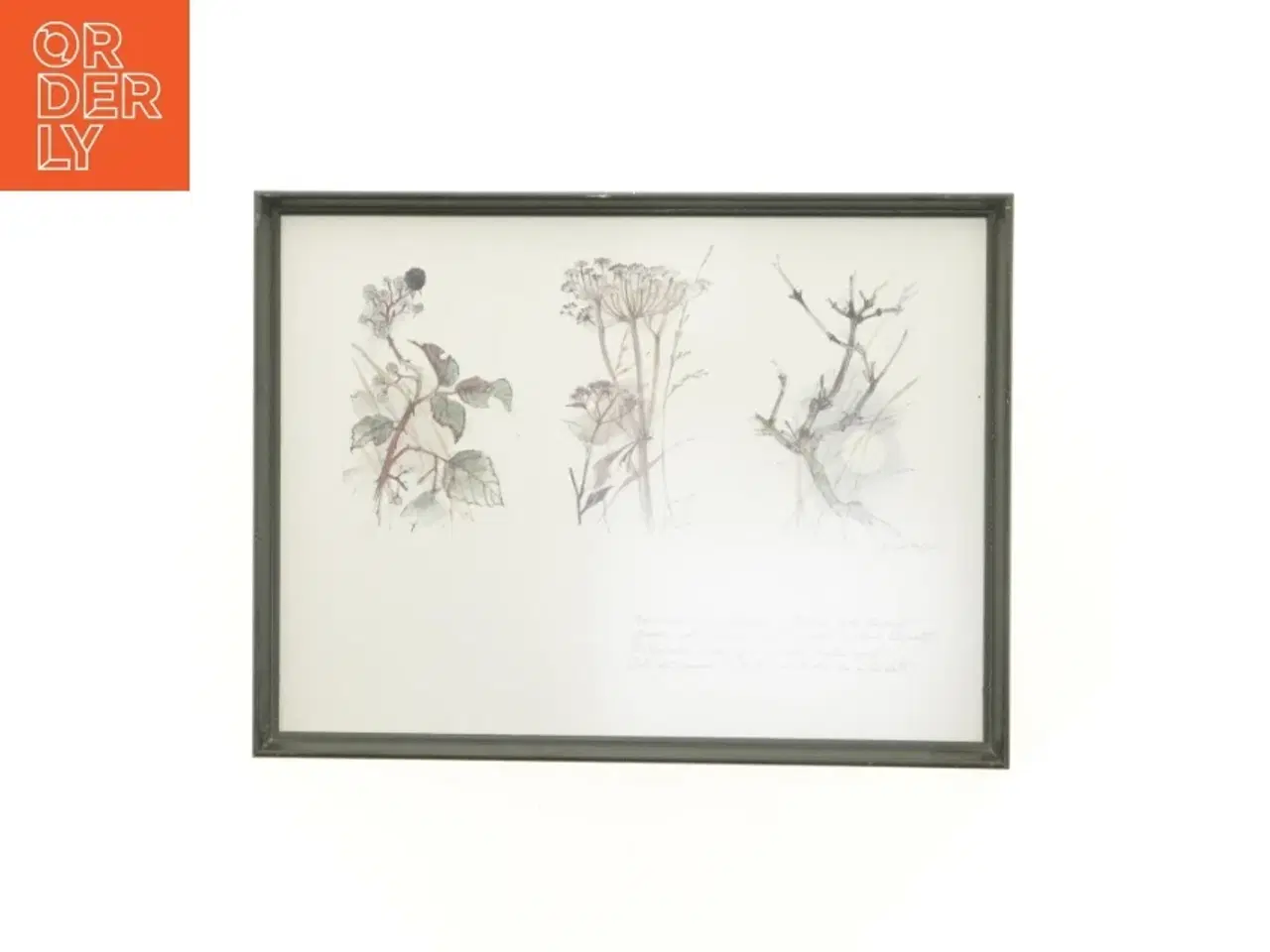 Billede 1 - Indrammet kunsttryk (str. 40 x 30,5 cm)