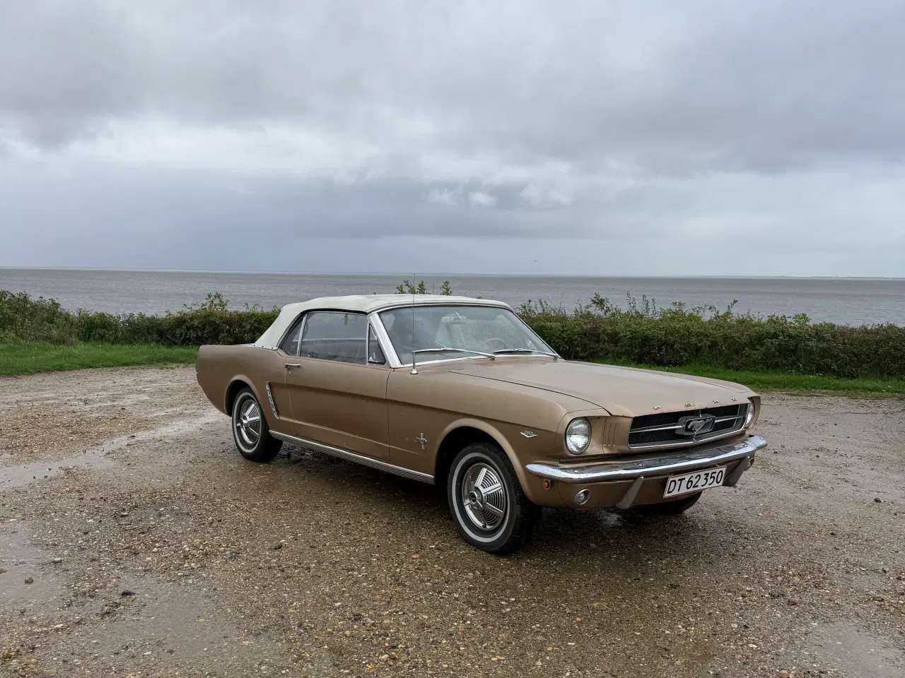 Billede 6 - Ford Mustang V8 Convertible – årgang 1964½