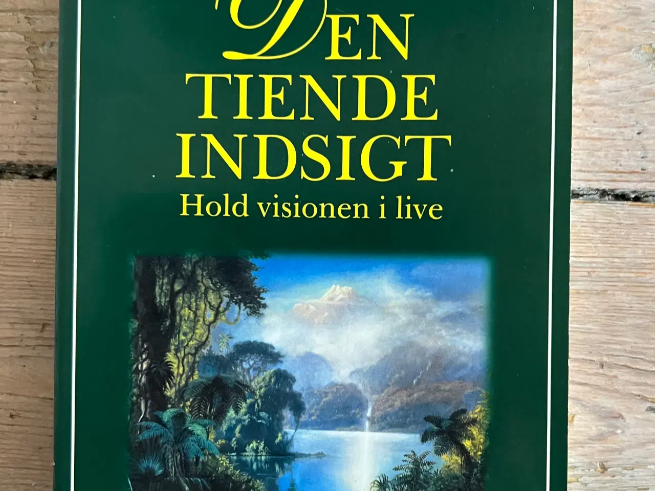 Billede 4 - Den niende og tiende indsigt