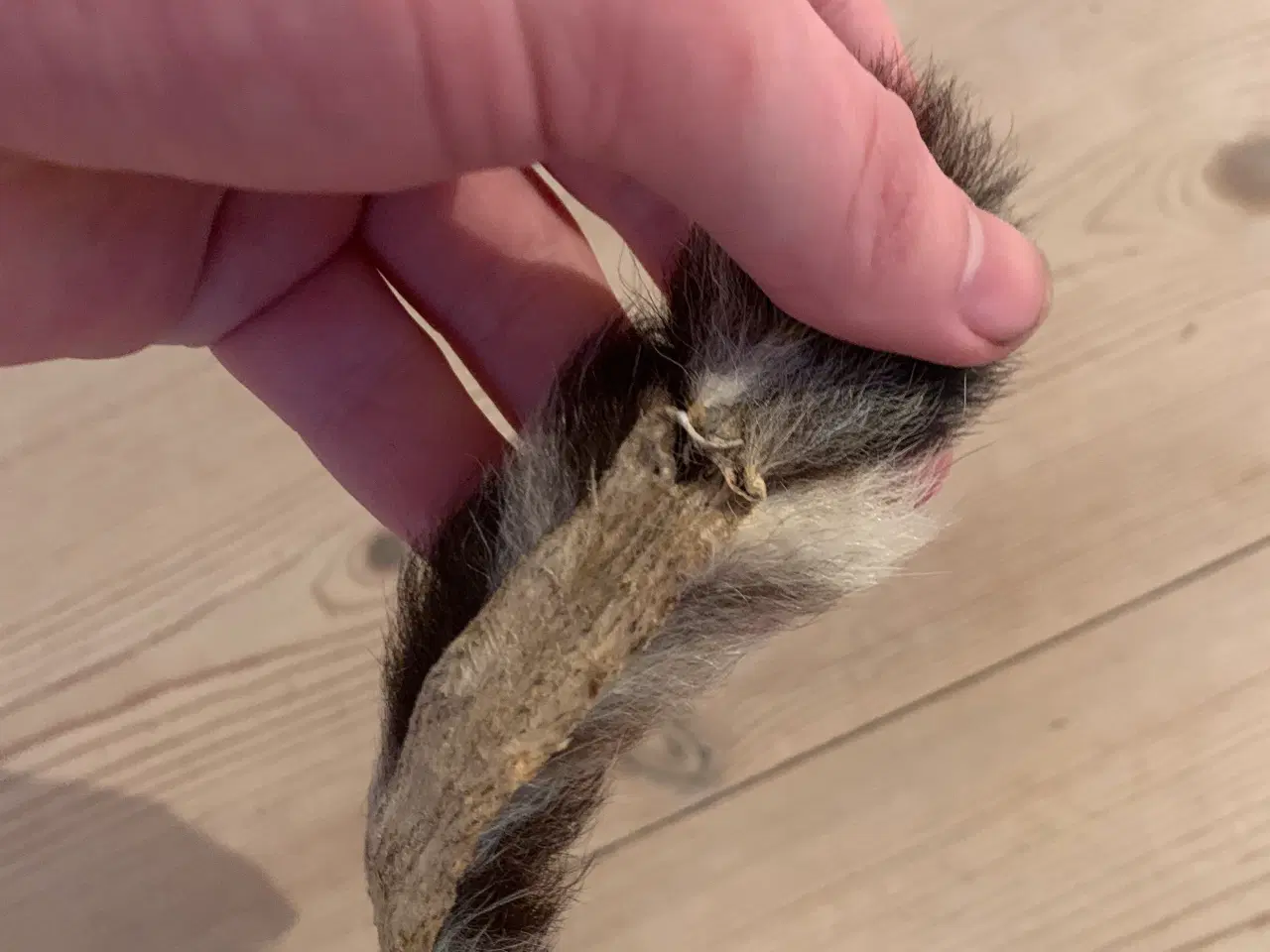 Billede 8 - Leopard Skind