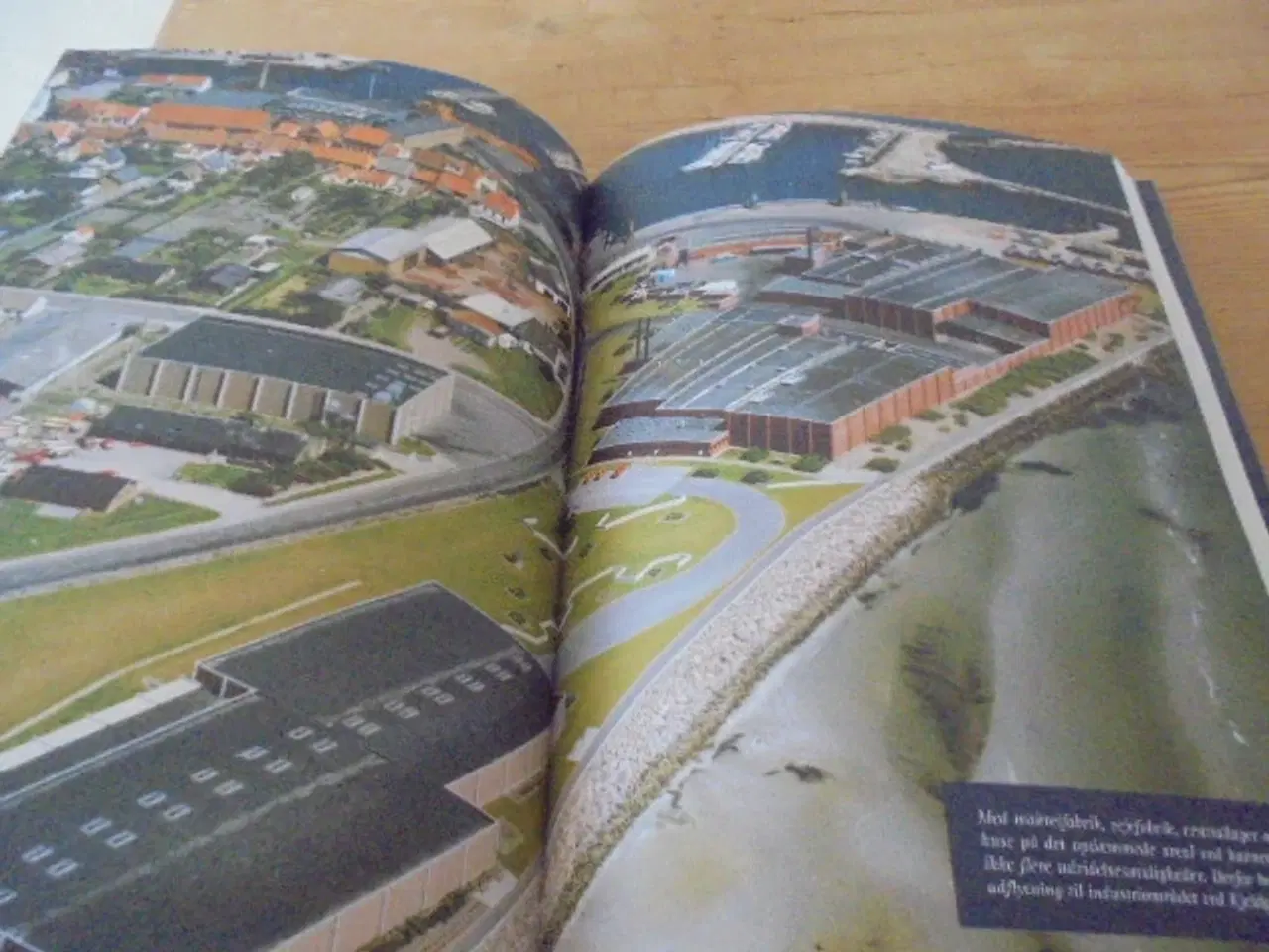 Billede 6 - Historien om A/S Sæby Fiske-Industri