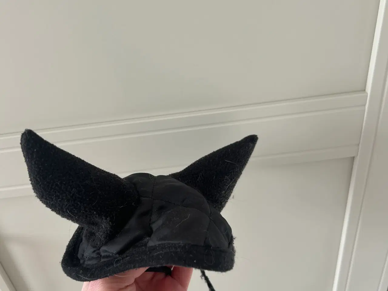 Billede 3 - 🖤🐎Kæphest+udstyr🐎🖤