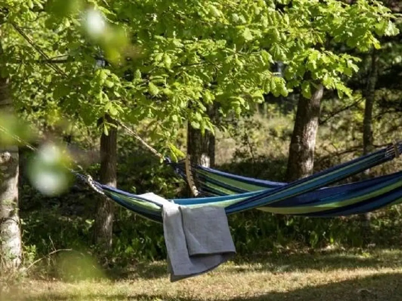 Billede 5 - Sk�nt Kalmar hus i fantastisk natur p� R�m� - midt i Nationalark Vadehavet.