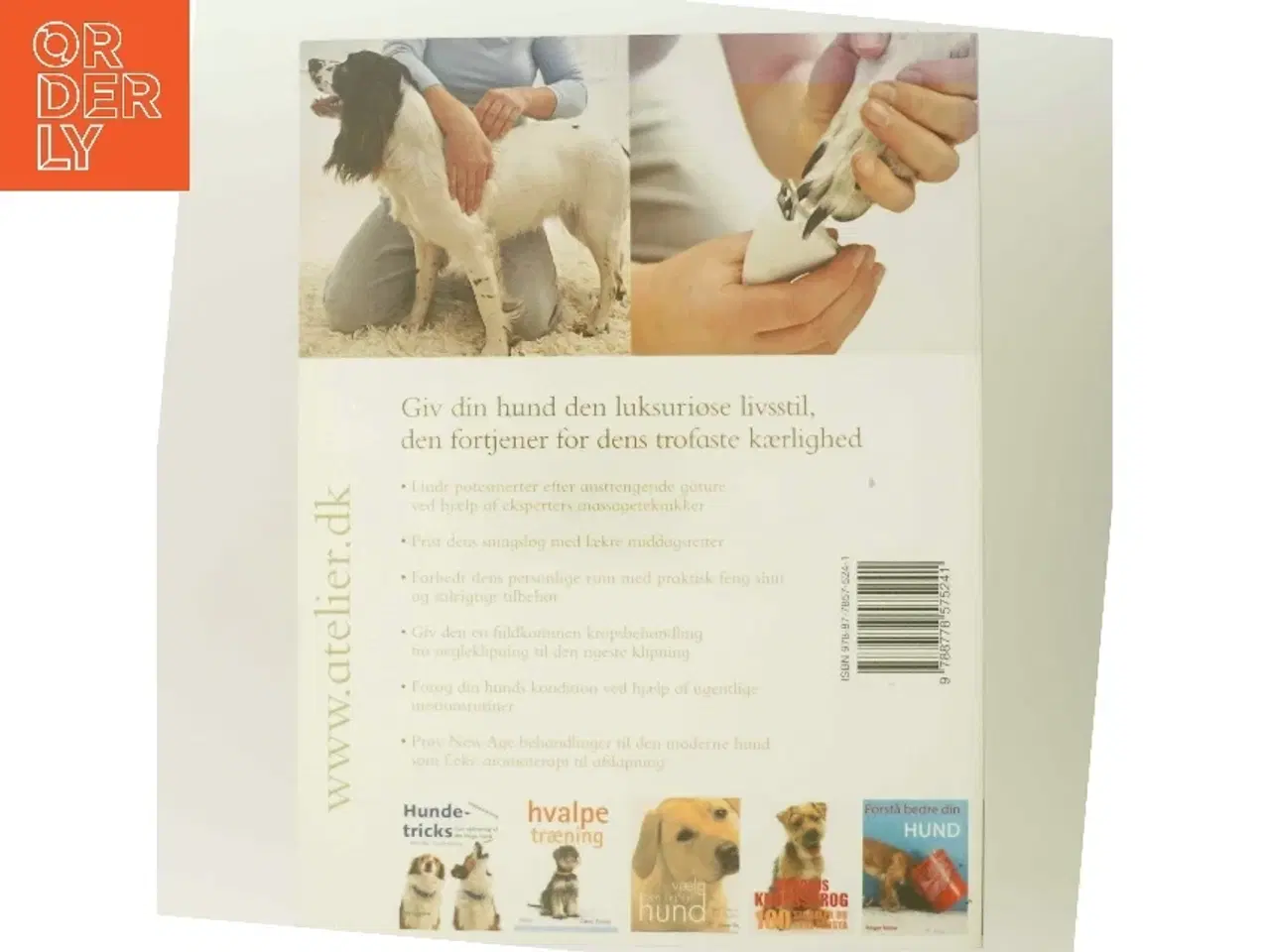 Billede 3 - Forkæl din hund af Sarah Whitehead (Bog)