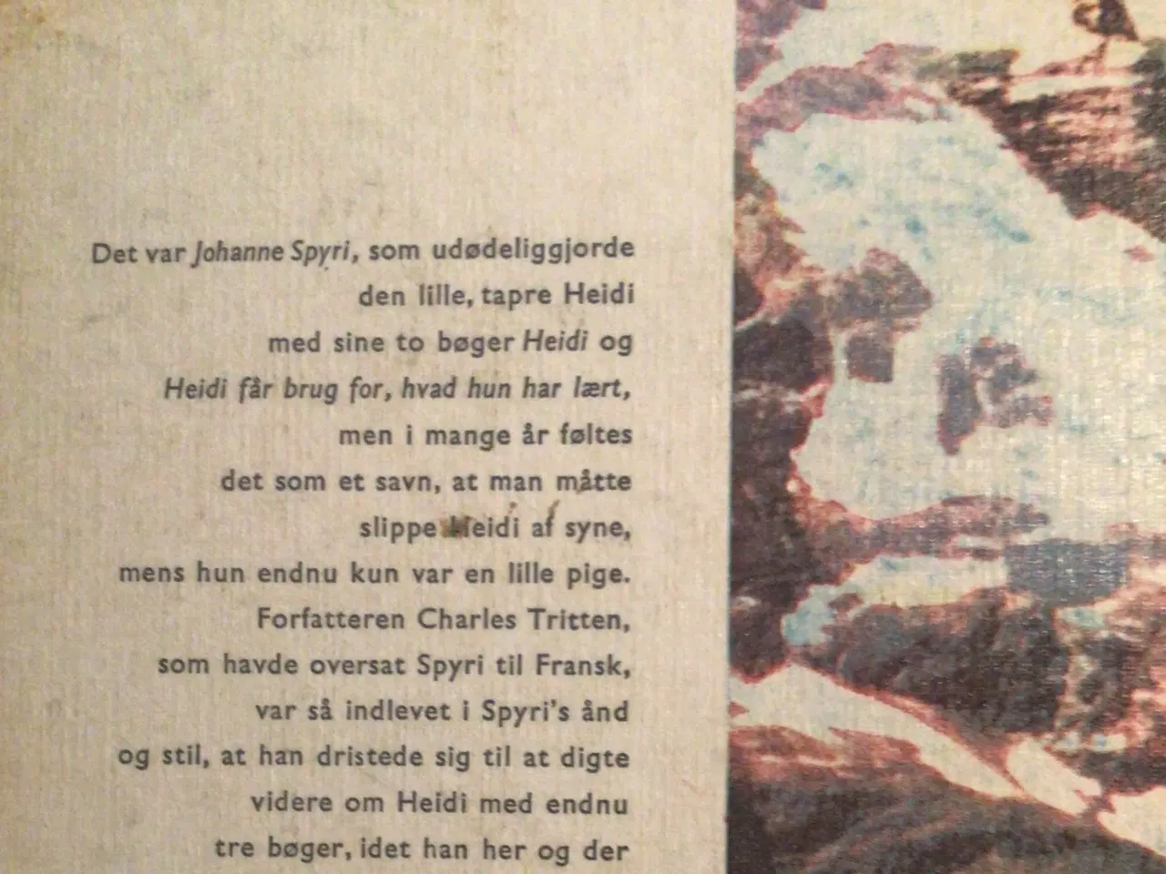 Billede 2 - Heidi og hendes børn