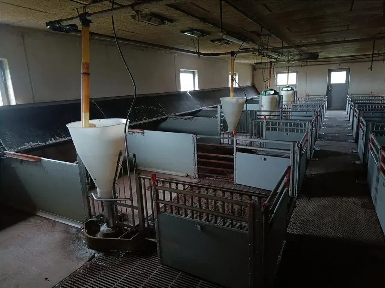 Billede 2 - - - - klima-/smågrise stier  16 stier MOMSFRI