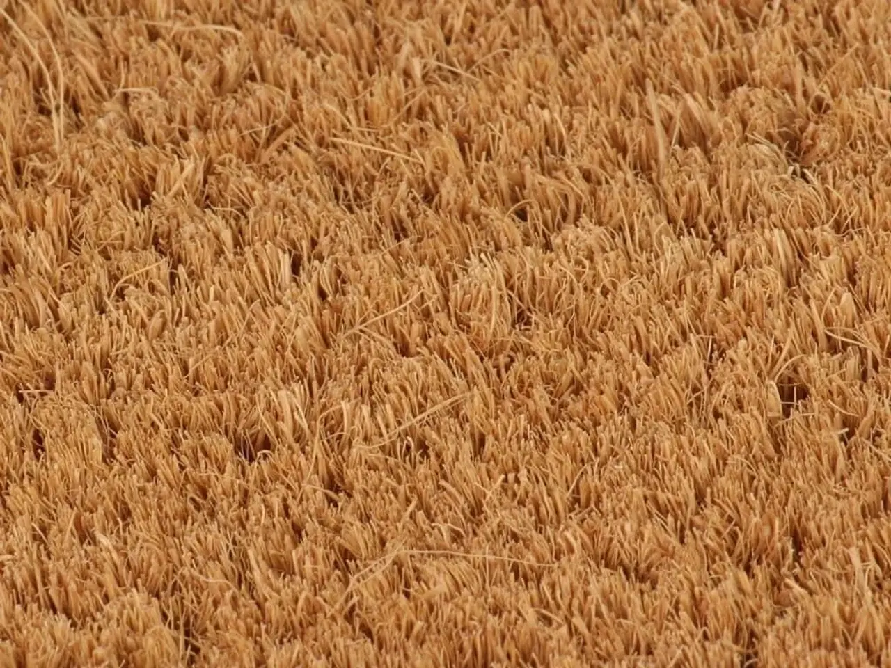 Billede 5 - Dørmåtte 90x150 cm tuftet coir naturfarvet