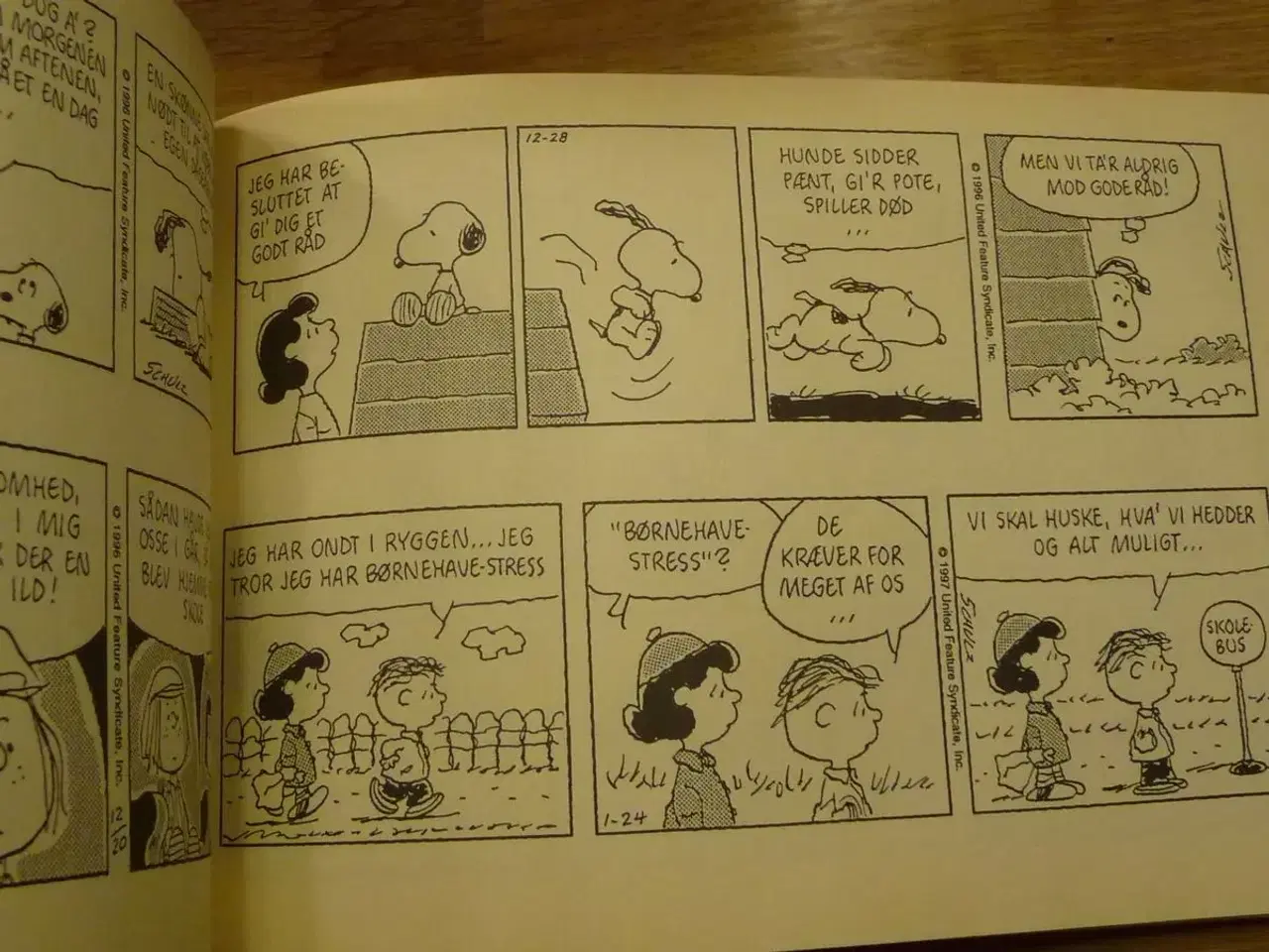 Billede 3 - Radiserne 1997