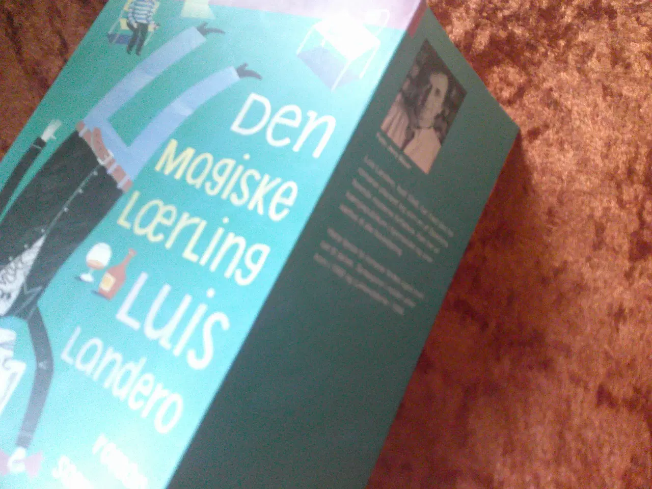 Billede 3 - Den magiske lærling, Luis Landero