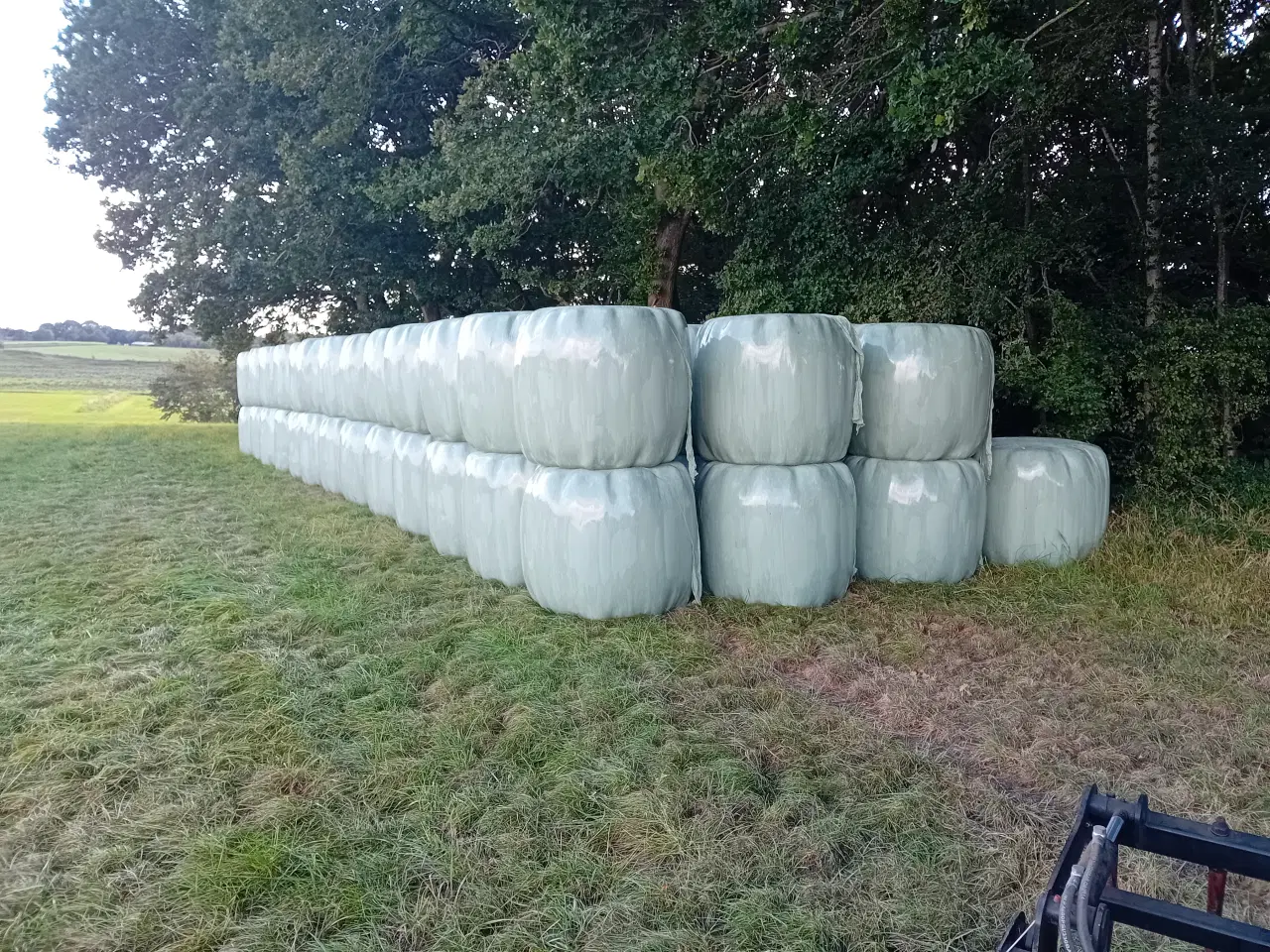Billede 1 - Wraphø i rundballer