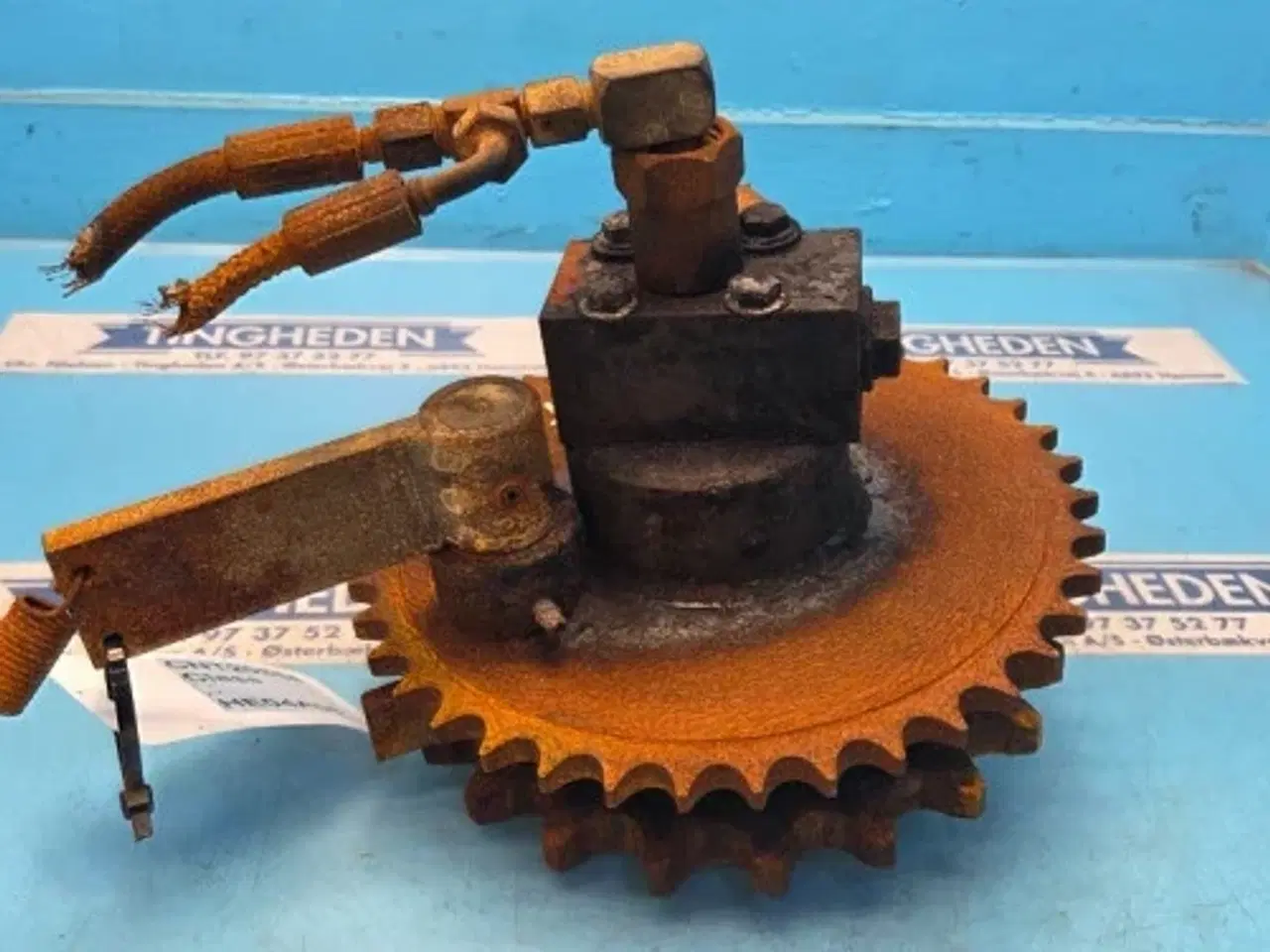 Billede 5 - Claas Variant 385 Tandhjul 8431780