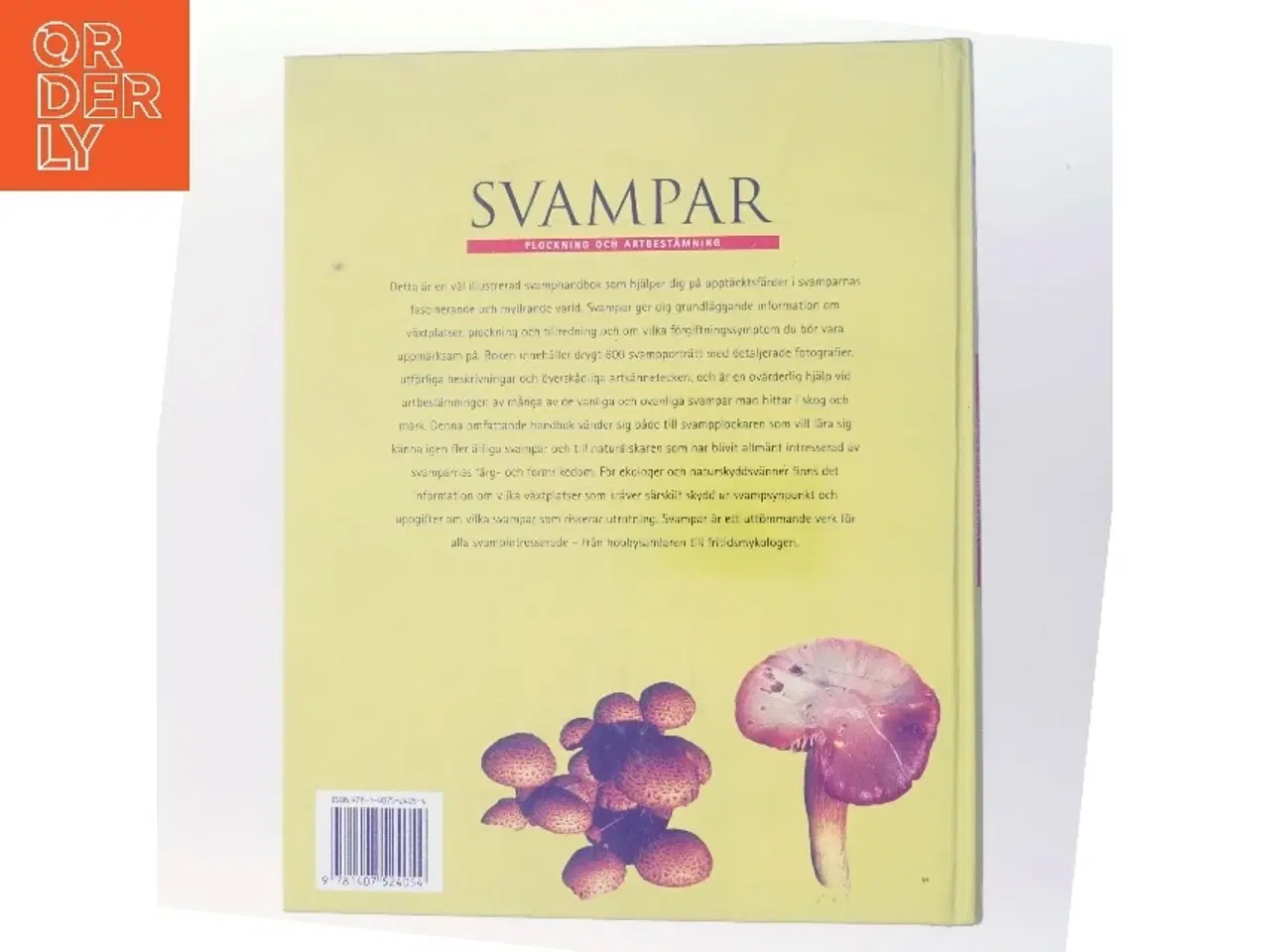 Billede 3 - Svampar af Rebo Publishers (Bog)
