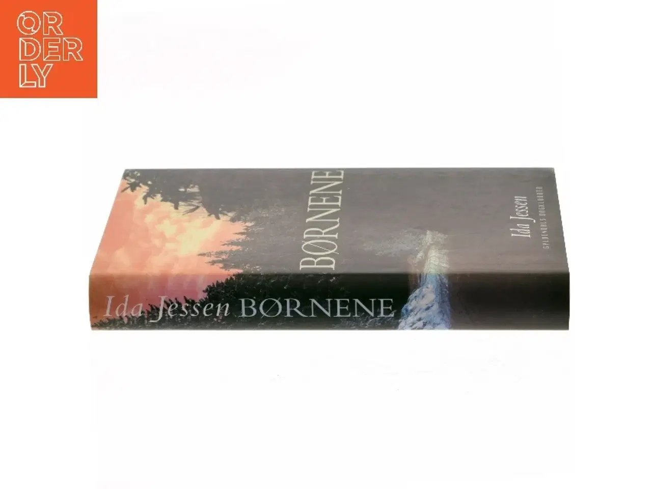 Billede 2 - Børnene af Ida Jessen (Bog)
