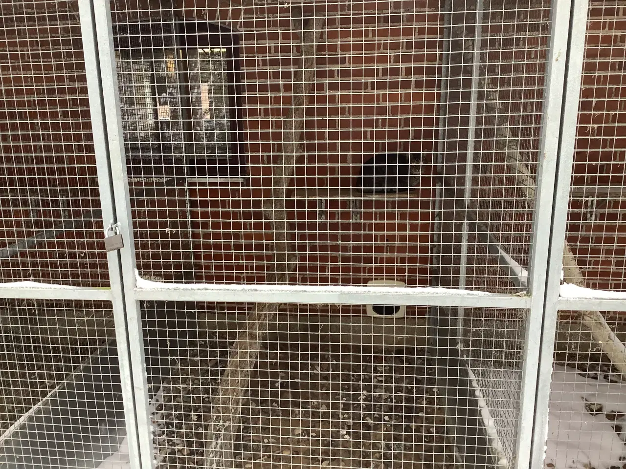 Billede 8 - Burer til kattepension sælges
