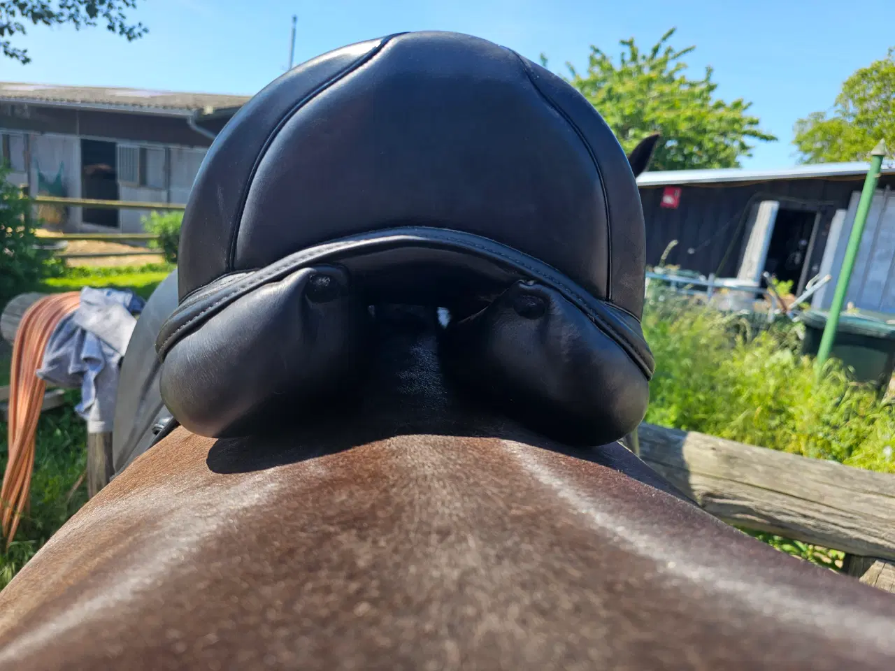 Billede 3 - Prestige x Helen 18"