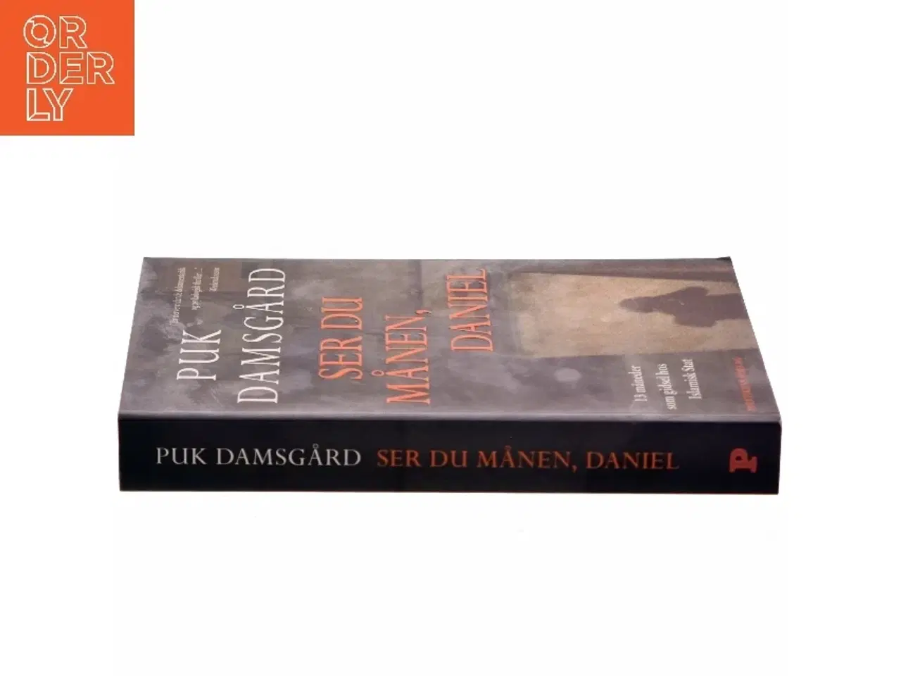 Billede 2 - Ser du månen, Daniel af Puk Damsgård Andersen (Bog)