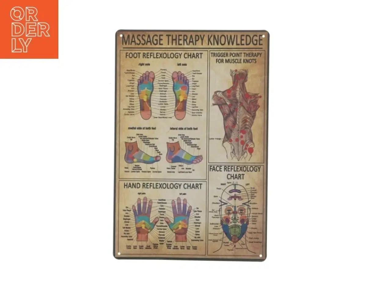 Billede 1 - Massage terapi viden metal skilt (str. 30x20 cm)