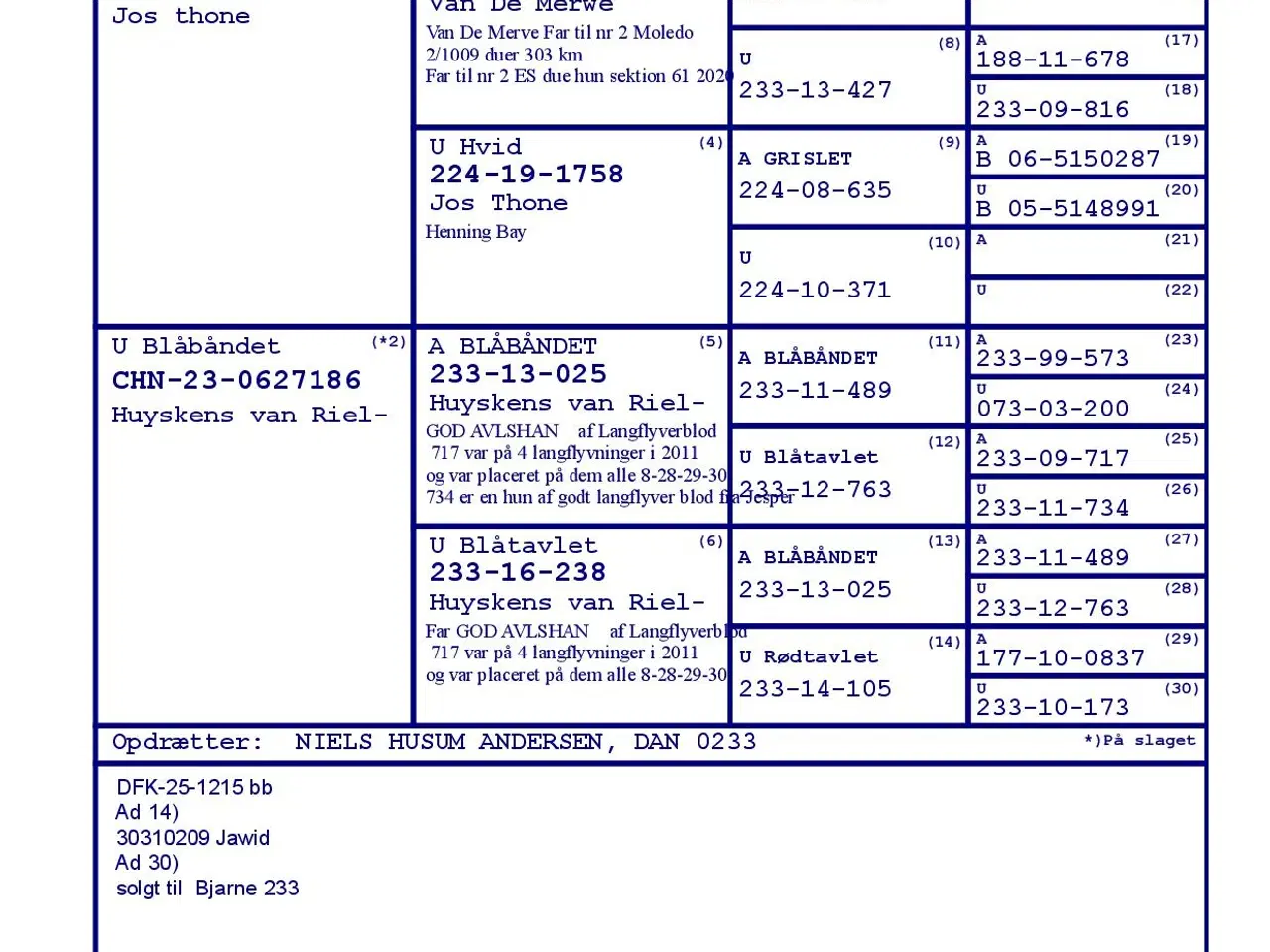 Billede 7 - brevduer unger