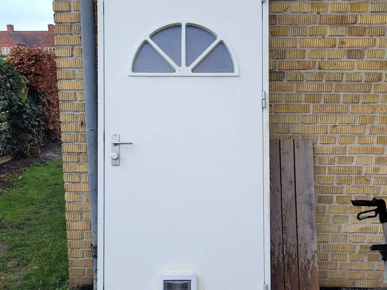 Billede 1 - Hoveddør med kattelem og 2 glaspartier foroven. 