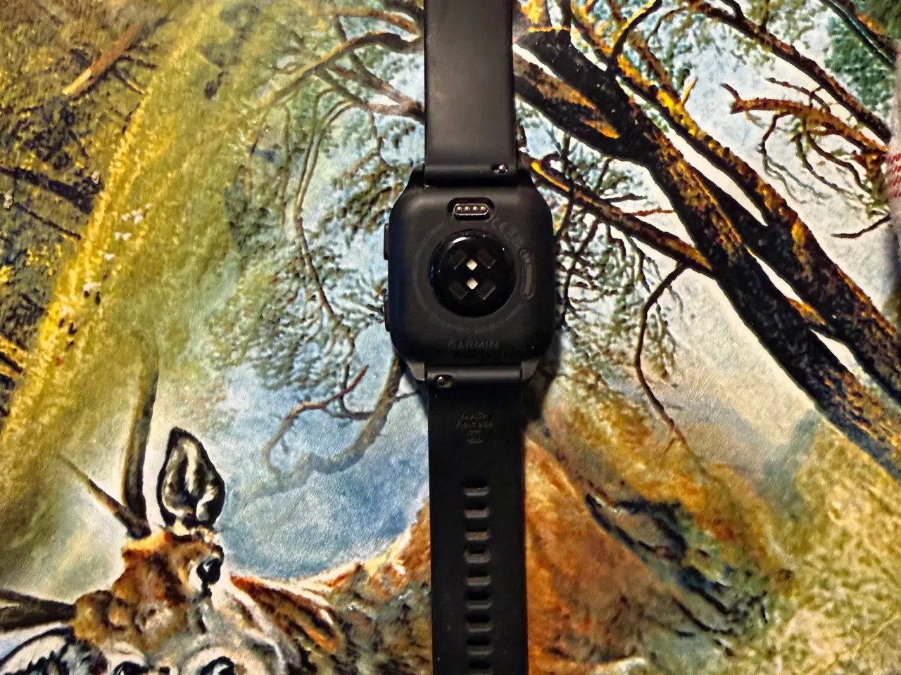 Billede 3 - Garmin Venu Sq 2 music, sort