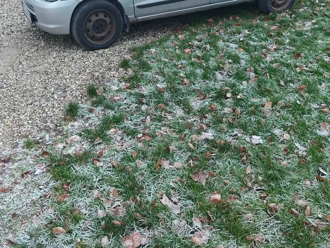 Billede 3 - Suzuki Alto 