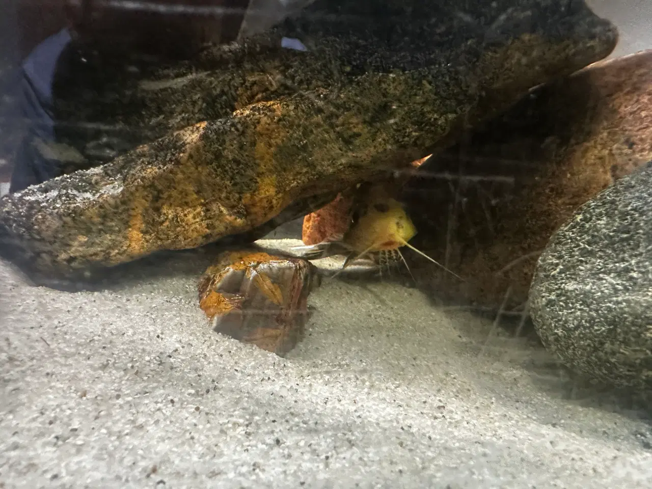 Billede 4 - Malawi og andet