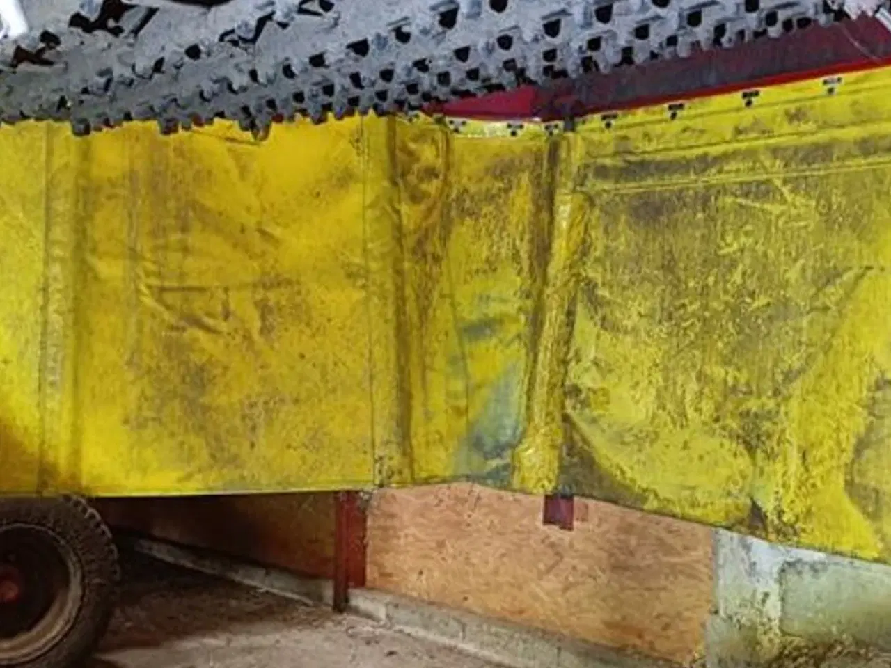 Billede 11 - Grimme SE 150-60 Grimme SE 150-60, med hjultræk og med 1700 mm indføring.