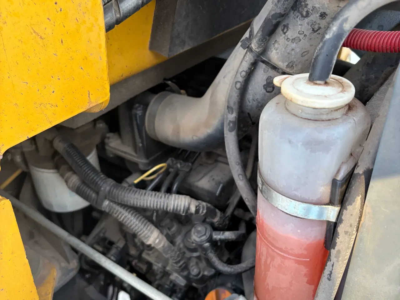 Billede 6 - Mustang 306