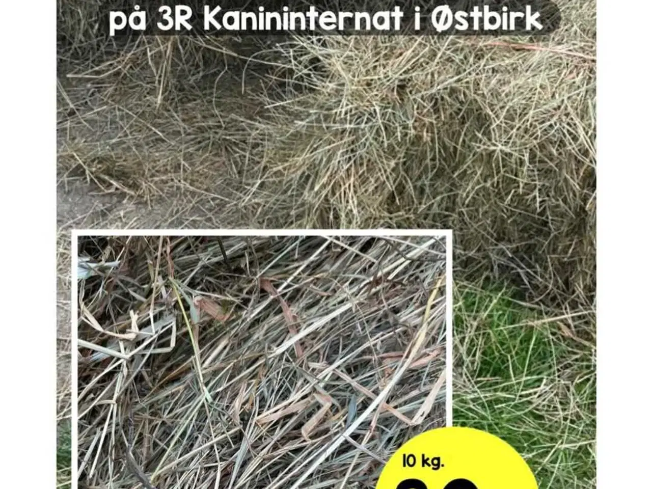 Billede 3 - Hø