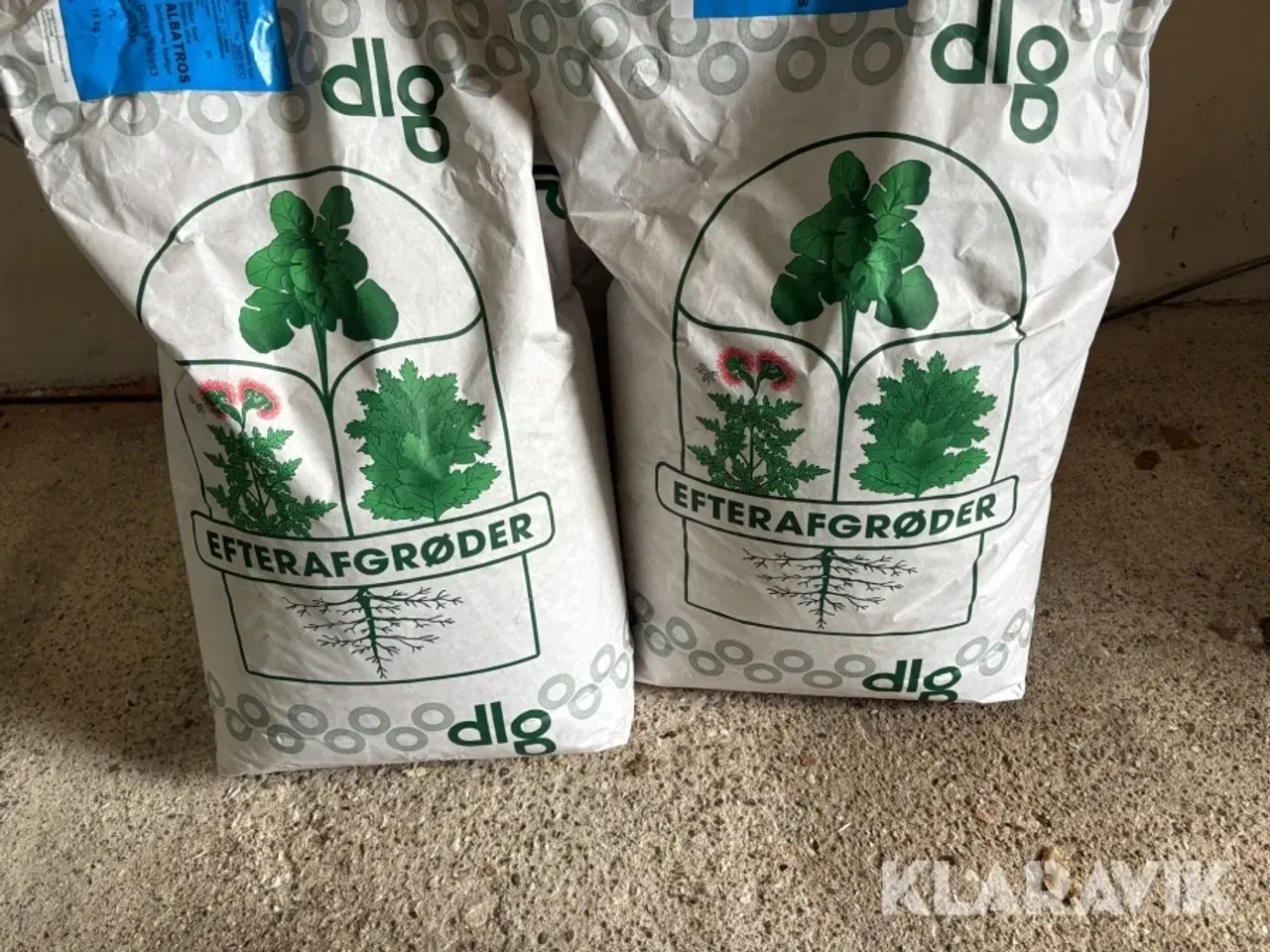 Billede 5 - Gul sennep DLG økologisk, 60 kg