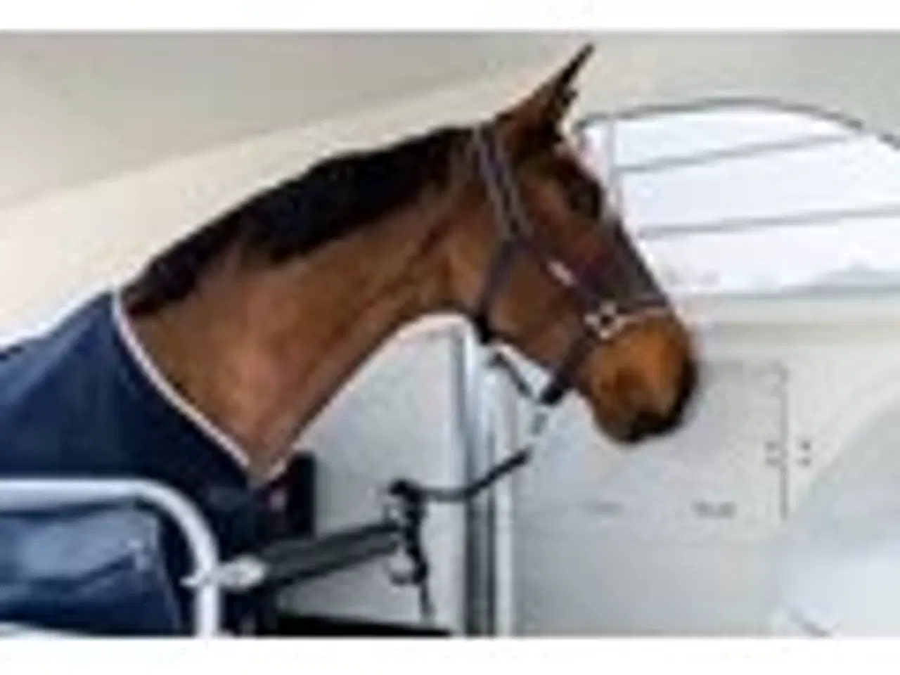 Billede 4 - Böckmann Portax Esprit 25 Grundmodel