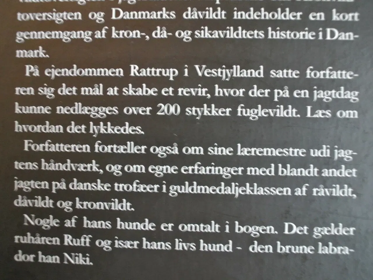 Billede 4 - danske guldmedaljer. erindringer af robert vesterg