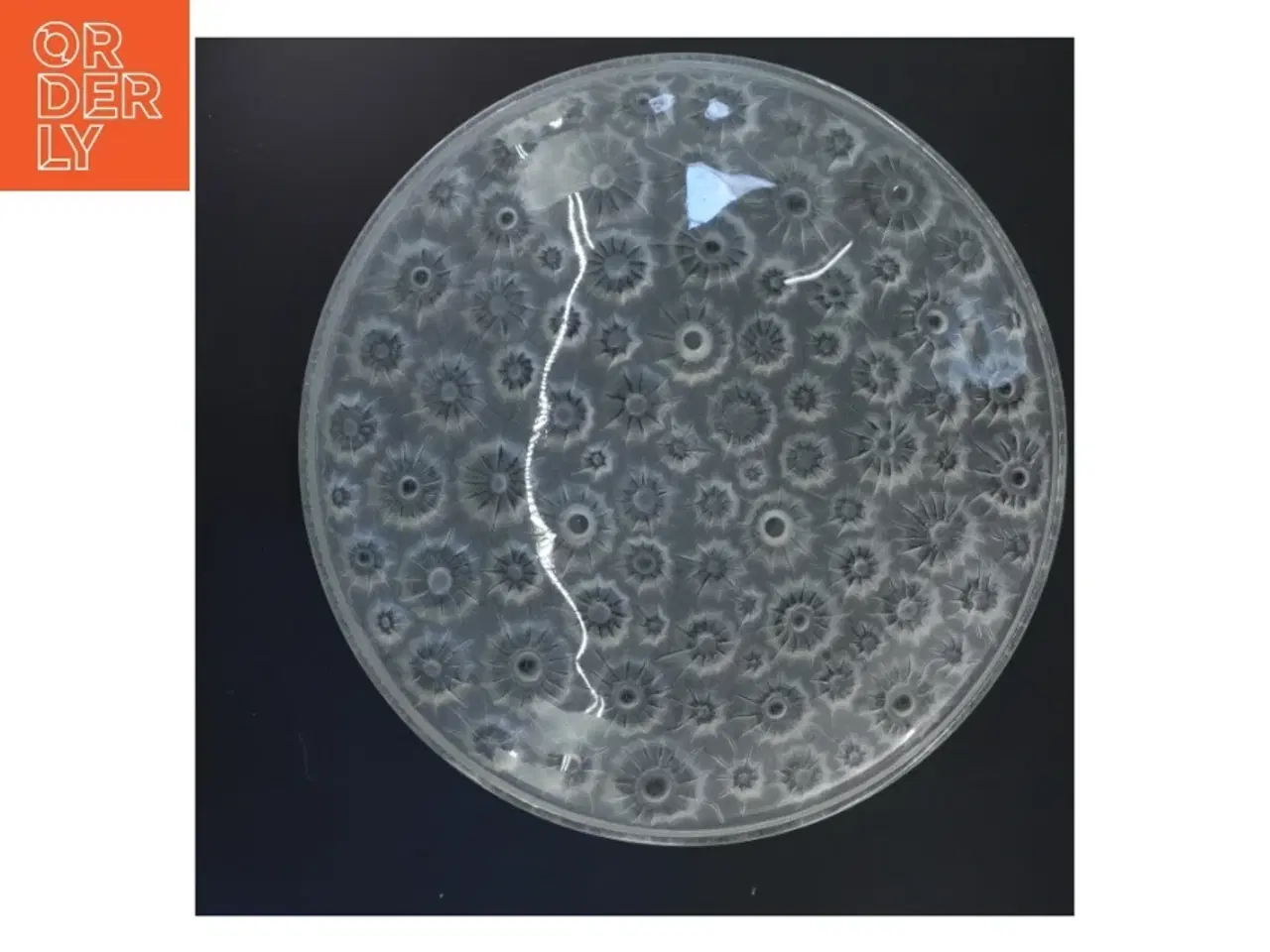 Billede 3 - Stort glasfad med blomstermønster (str. Ø 35 cm)